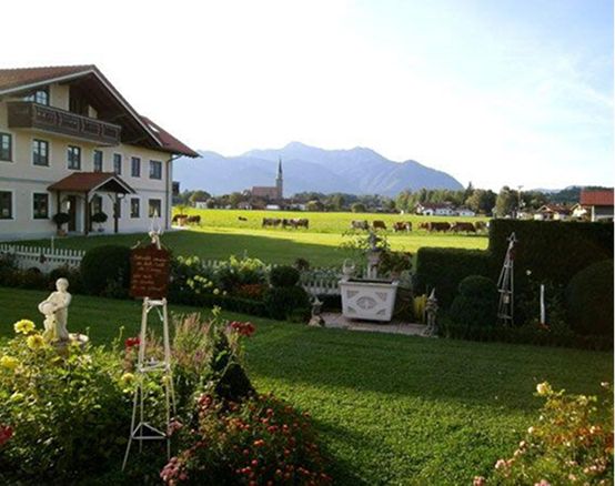 The house photographed in sunlight with cows grazing in the meadow.